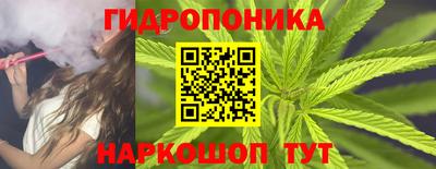 соль ск Дубна