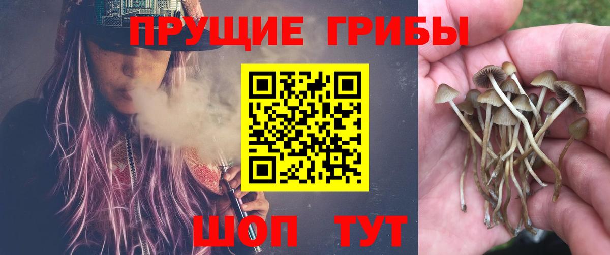 Галлюциногенные грибы Psilocybine cubensis  Вход с VPN  Орехово-Зуево 